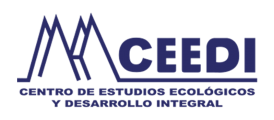 logo_CEEDI