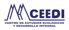 logo_CEEDI20221